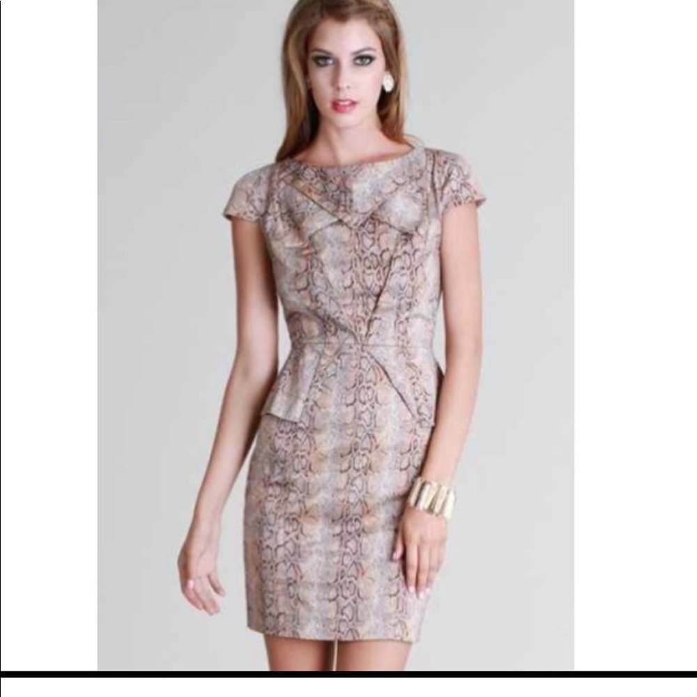 Brown & Tan Dress
